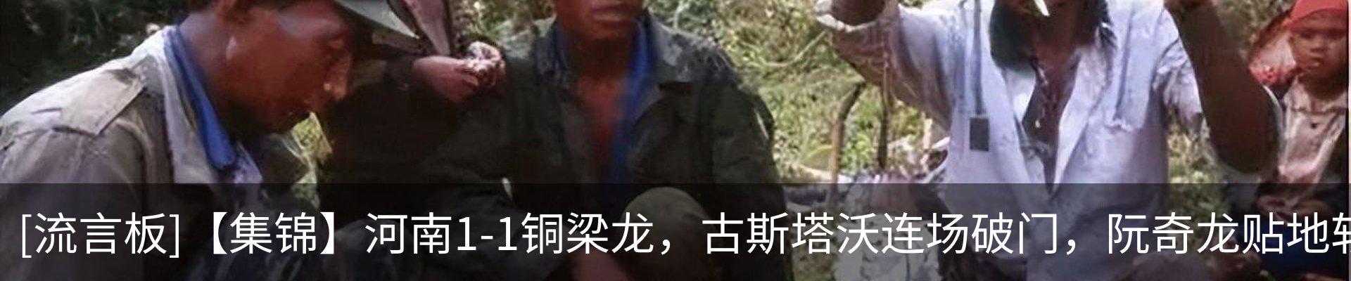 最新动态
